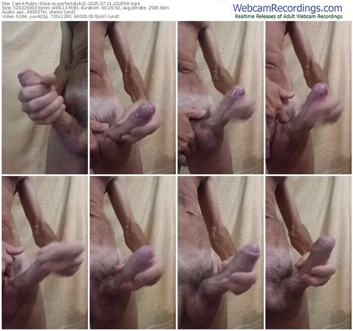 cam4-perfectdick21-07-21-2025-20-26-56
