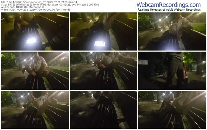 cam4-pollen_07-07-21-2025-21-38-16