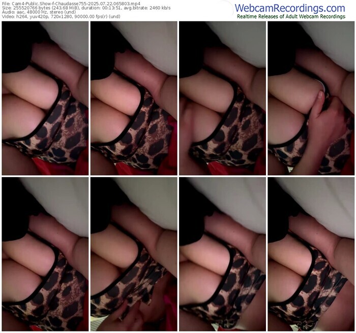 cam4-chaudasse755-07-22-2025-06-58-03