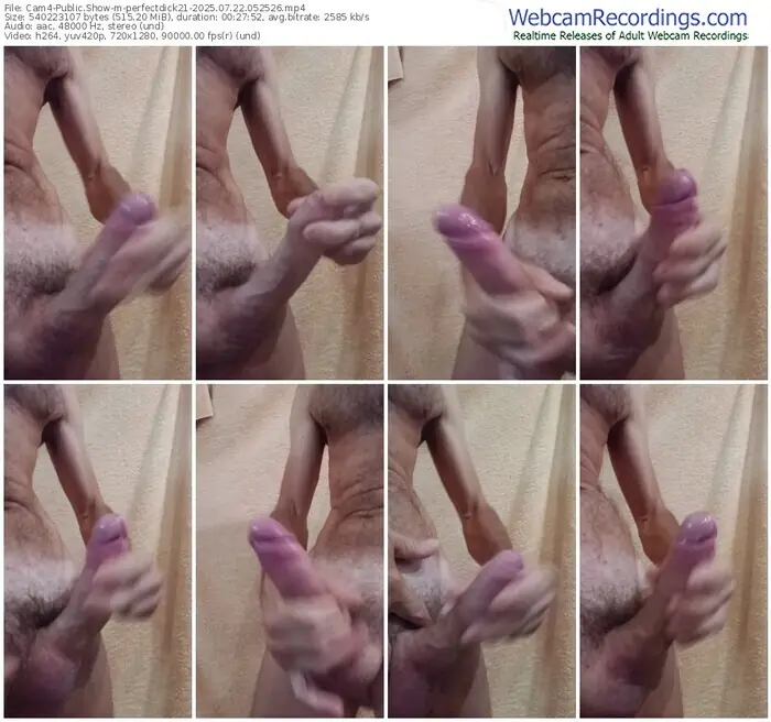 cam4-perfectdick21-07-22-2025-05-25-26