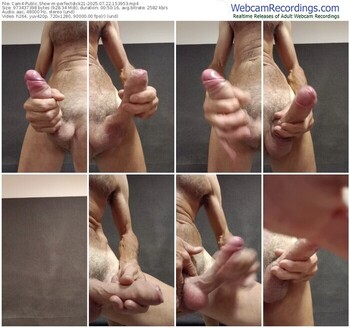 cam4-perfectdick21-07-22-2025-15-39-53