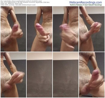 cam4-perfectdick21-07-23-2025-06-40-11