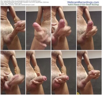 cam4-perfectdick21-07-23-2025-08-45-54