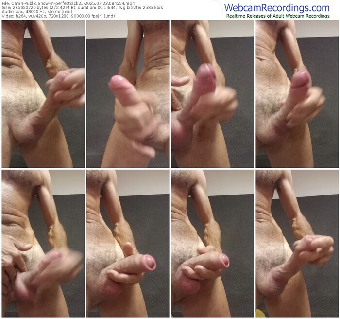 cam4-perfectdick21-07-23-2025-08-45-54