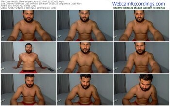 cam4-petit_ours-07-23-2025-20-20-01