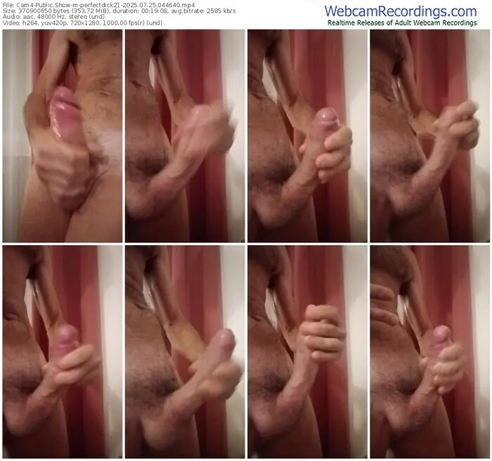 cam4-perfectdick21-07-25-2025-04-46-40