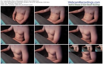 cam4-twweiwei1-07-26-2025-17-28-04