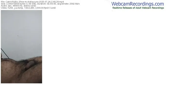 cam4-aieloucura-07-26-2025-13-41-29