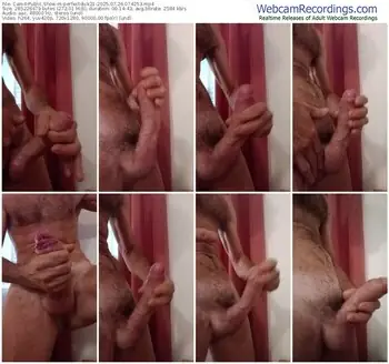 cam4-perfectdick21-07-26-2025-07-42-53