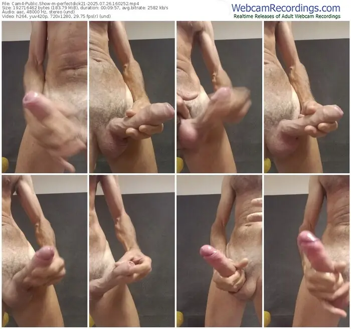 cam4-perfectdick21-07-26-2025-16-02-52