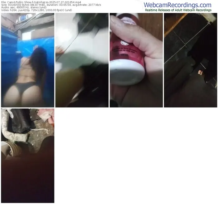 cam4-gatinhazss-07-27-2025-02-16-54