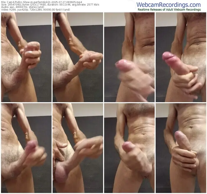 cam4-perfectdick21-07-27-2025-08-39-05