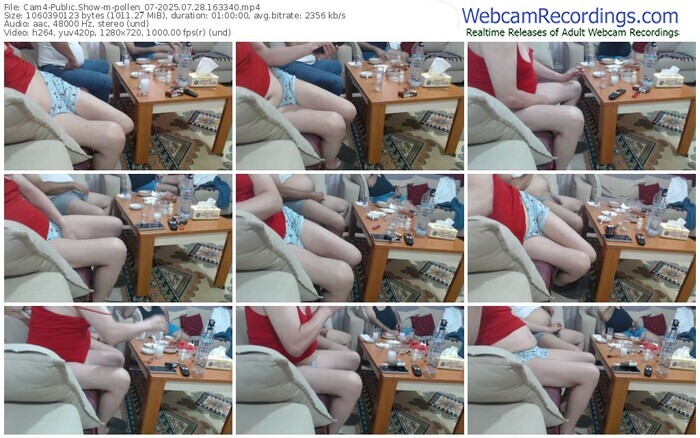 cam4-pollen_07-07-28-2025-16-33-40