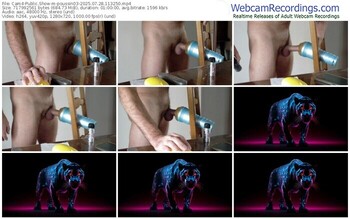 cam4-poussin03-07-28-2025-11-32-50