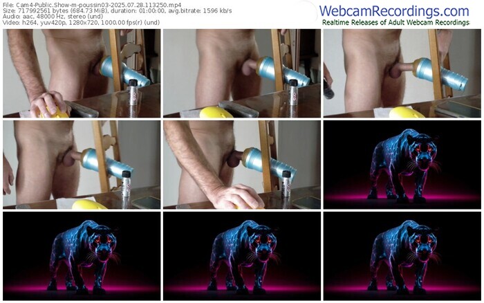 cam4-poussin03-07-28-2025-11-32-50