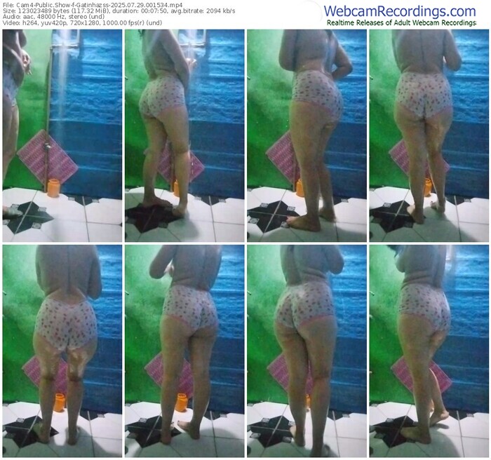 cam4-gatinhazss-07-29-2025-00-15-34