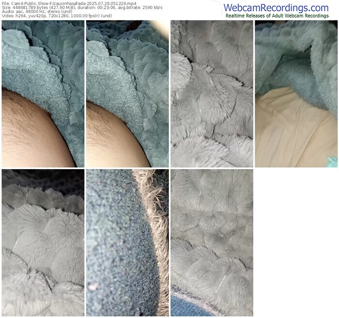 cam4-gaucinhasafada-07-29-2025-05-12-29