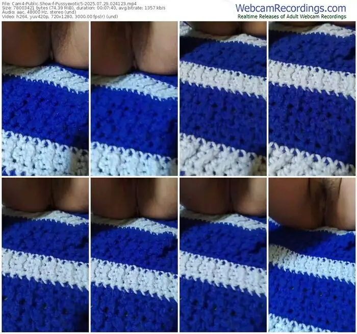 cam4-pussyexotic5-07-29-2025-02-41-23
