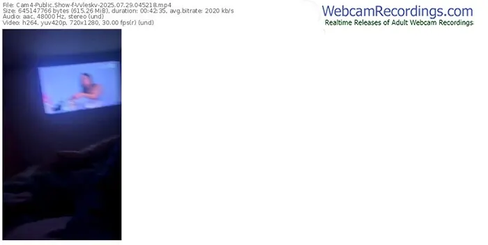 cam4-vvleskv-07-29-2025-04-52-18