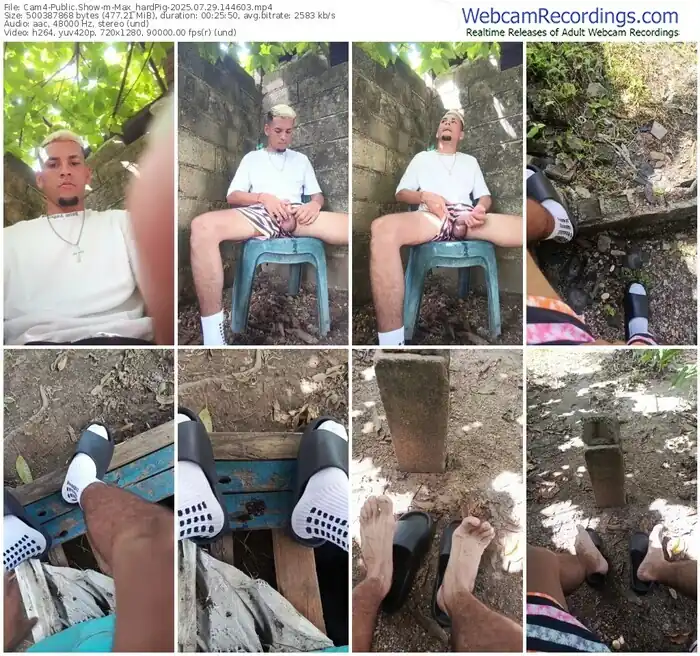 cam4-max_hardpig-07-29-2025-14-46-03