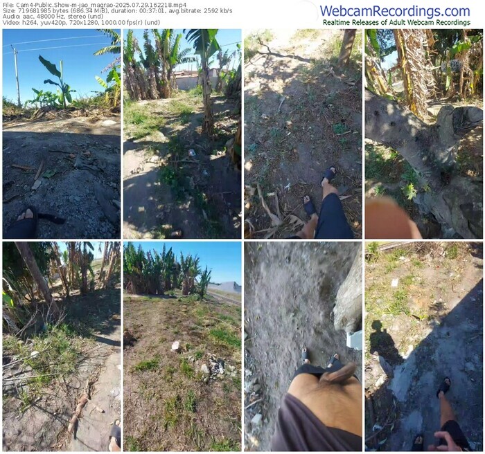 cam4-jao_magrao-07-29-2025-16-22-18