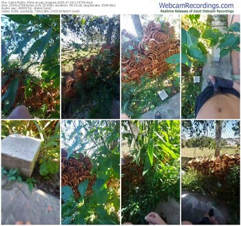 cam4-jao_magrao-07-29-2025-17-47-59