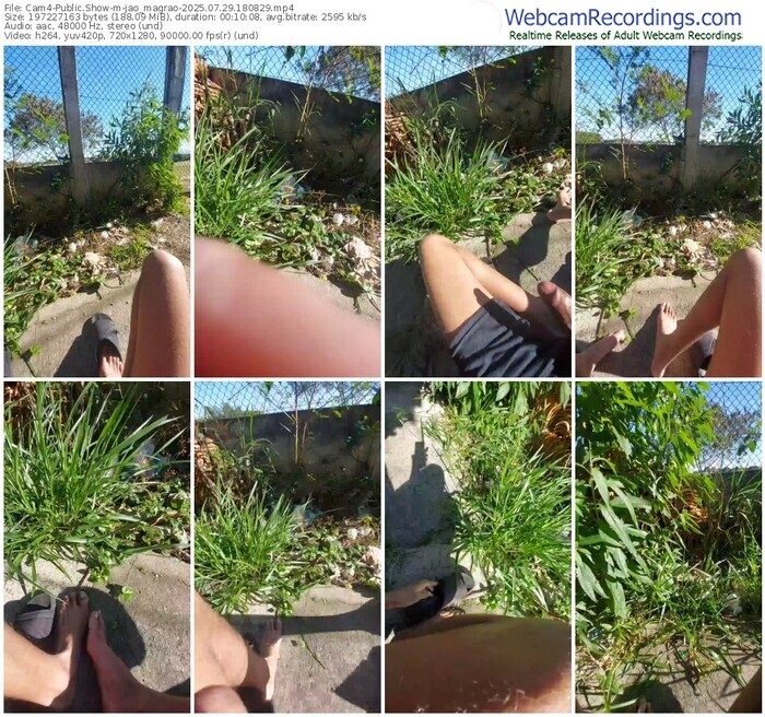 cam4-jao_magrao-07-29-2025-18-08-29
