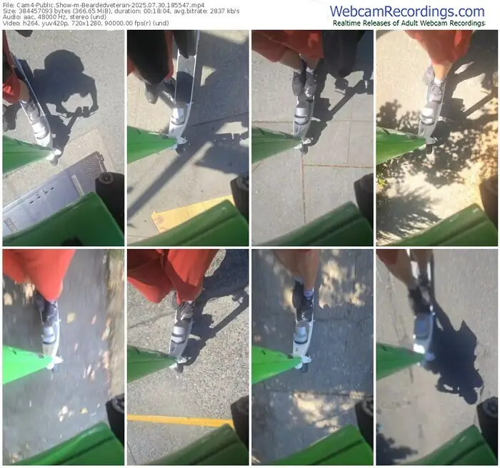 cam4-beardedveteran-07-30-2025-18-55-47