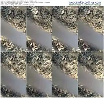 cam4-geusii-07-30-2025-16-12-35