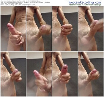 cam4-perfectdick21-07-30-2025-16-59-51