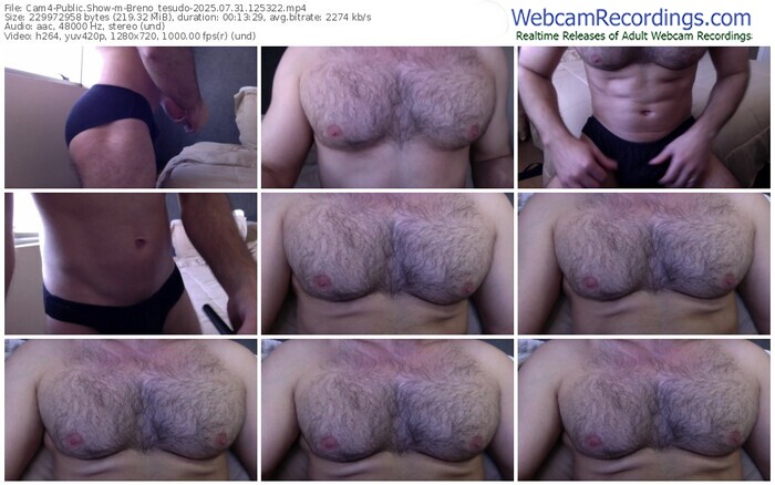 cam4-breno_tesudo-07-31-2025-12-53-22