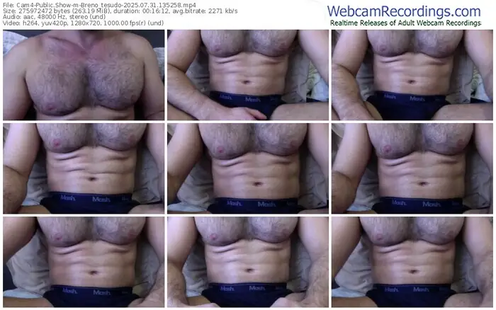 cam4-breno_tesudo-07-31-2025-13-52-58