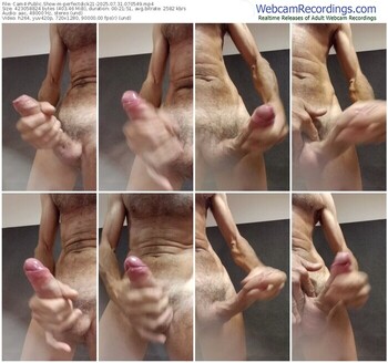 cam4-perfectdick21-07-31-2025-07-05-49