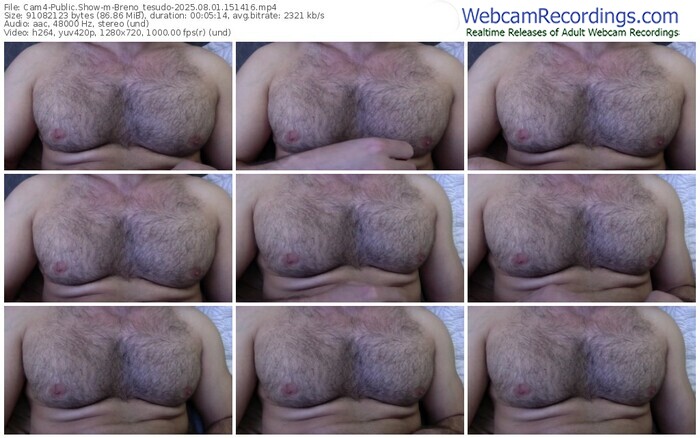 cam4-breno_tesudo-08-01-2025-15-14-16