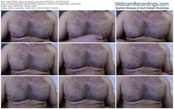 cam4-breno_tesudo-08-01-2025-15-14-16