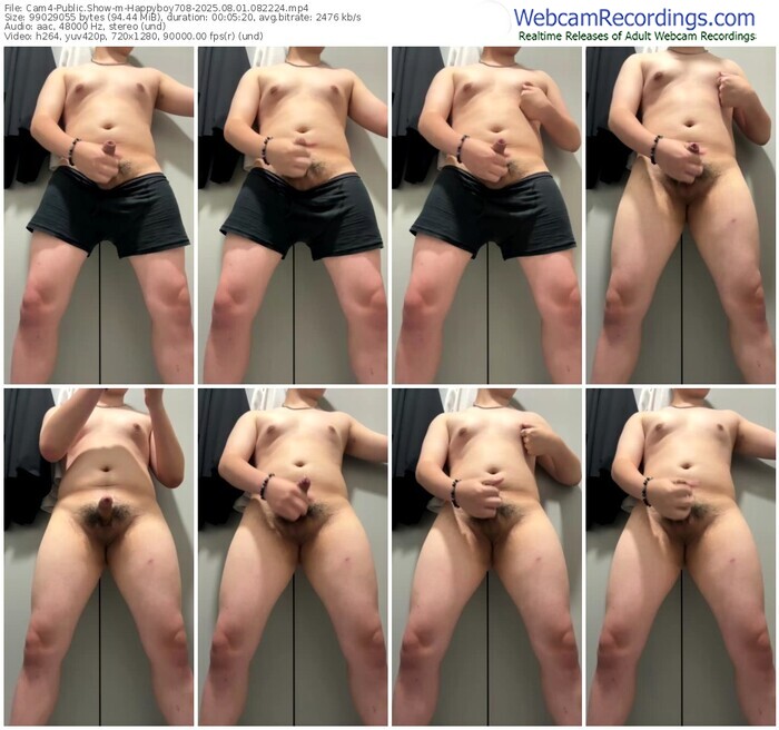 cam4-happyboy708-08-01-2025-08-22-24