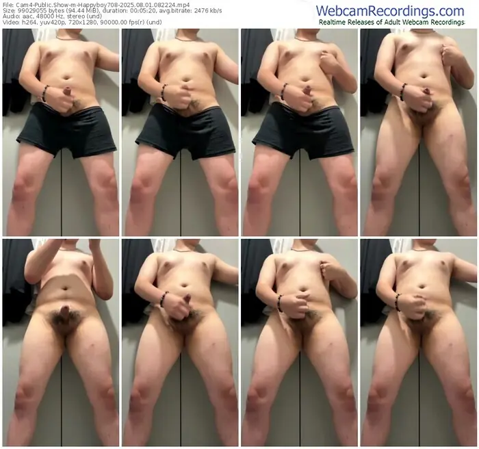 cam4-happyboy708-08-01-2025-08-22-24