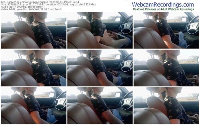 cam4-sweetpuppy1-08-01-2025-19-04-01