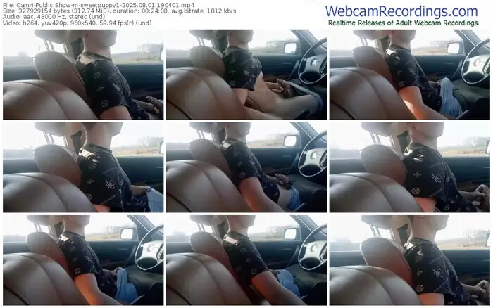 cam4-sweetpuppy1-08-01-2025-19-04-01