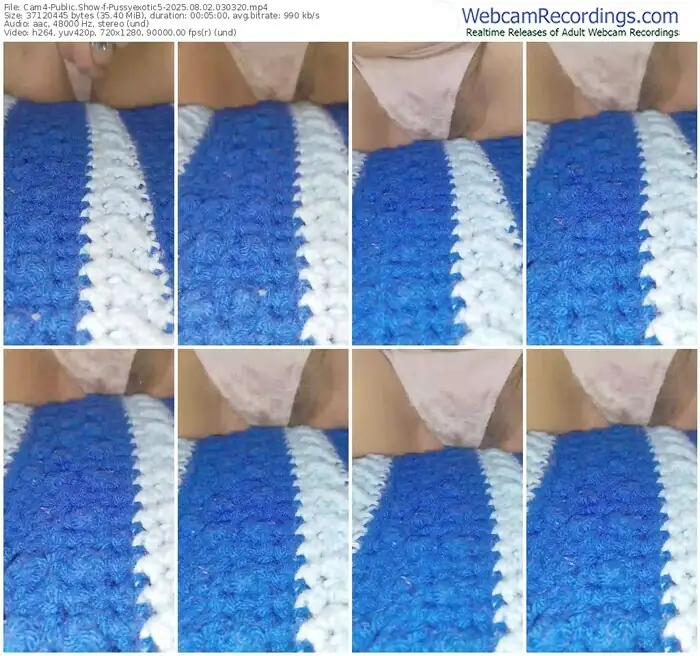cam4-pussyexotic5-08-02-2025-03-03-20