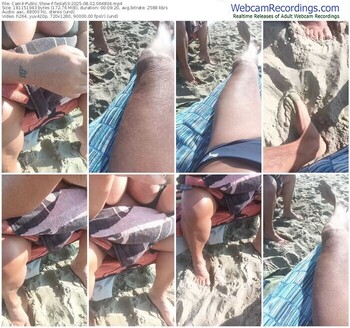 cam4-tesla53-08-02-2025-06-48-04