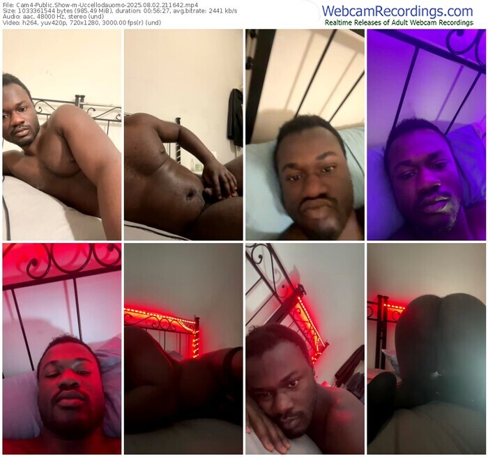 cam4-uccellodauomo-08-02-2025-21-16-42