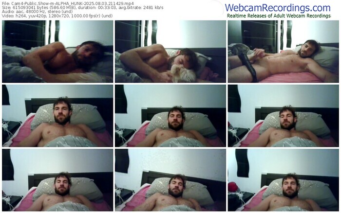 cam4-alpha_hunk-08-03-2025-21-14-29