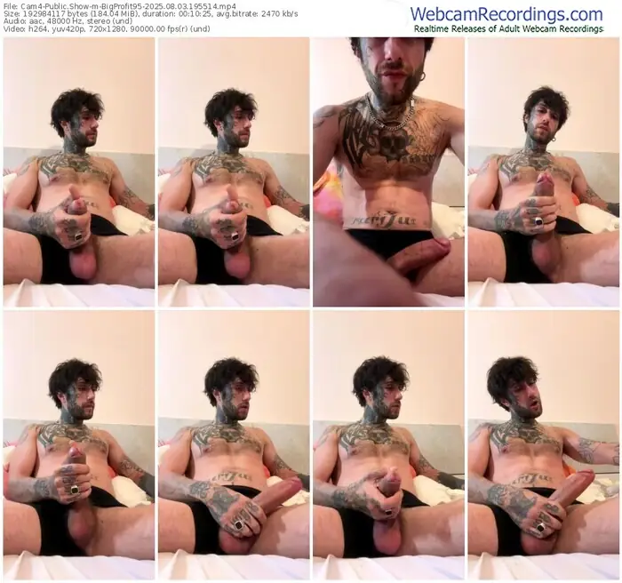 cam4-bigprofit95-08-03-2025-19-55-14