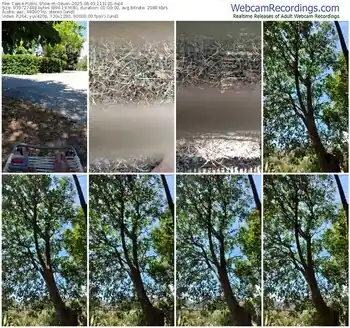 cam4-geusii-08-03-2025-11-31-20