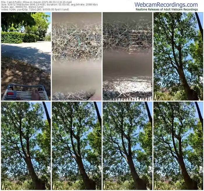 cam4-geusii-08-03-2025-11-31-20