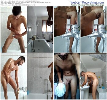 cam4-pntarrndr0-08-03-2025-09-52-57