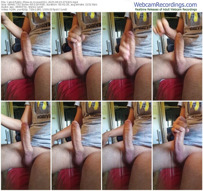 cam4-nicooo2011-08-03-2025-07-03-19