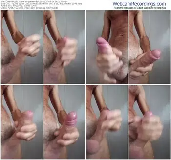 cam4-perfectdick21-08-04-2025-16-11-20