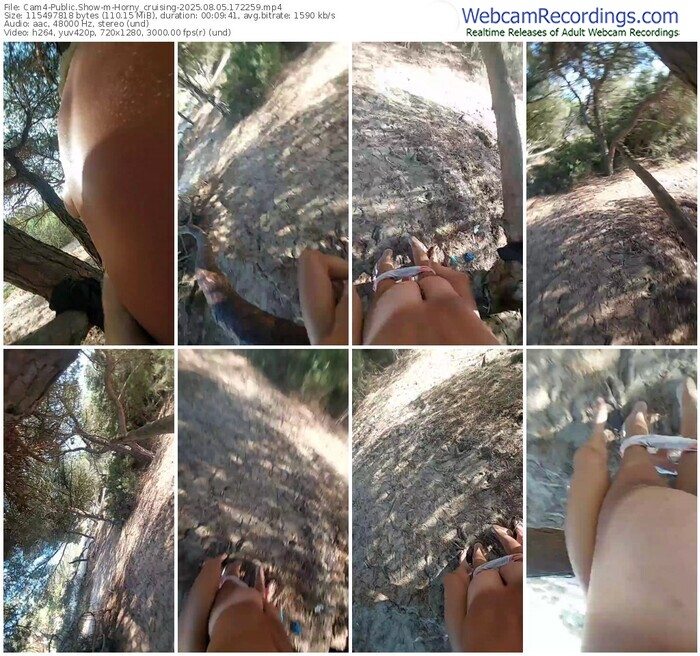 cam4-horny_cruising-08-05-2025-17-22-59